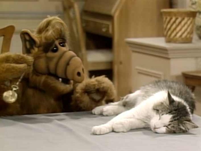 ALF Reviews: “Looking for Lucky” (Season 1, Episode 3)