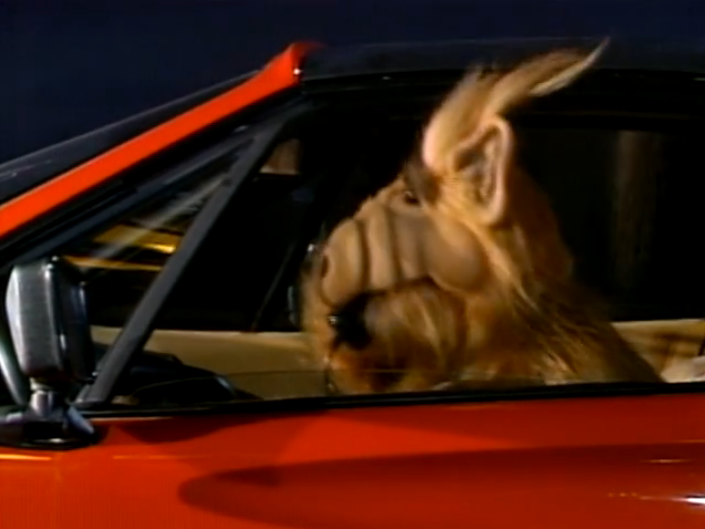ALF, "Baby, You Can Drive My Car"