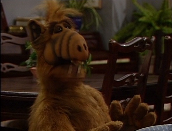 ALF, "Something's Wrong With Me"