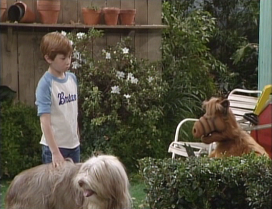 ALF Reviews: “You Ain’t Nothin’ But a Hound Dog” (season 2, episode 19)