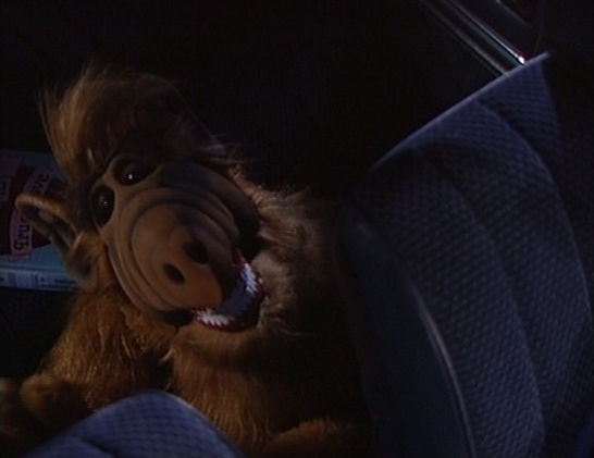 ALF, "Stop in the Name of Love"