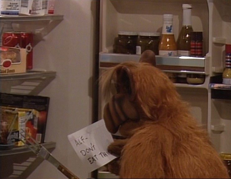 ALF Reviews: “Shake, Rattle and Roll” (season 3, episode 25)