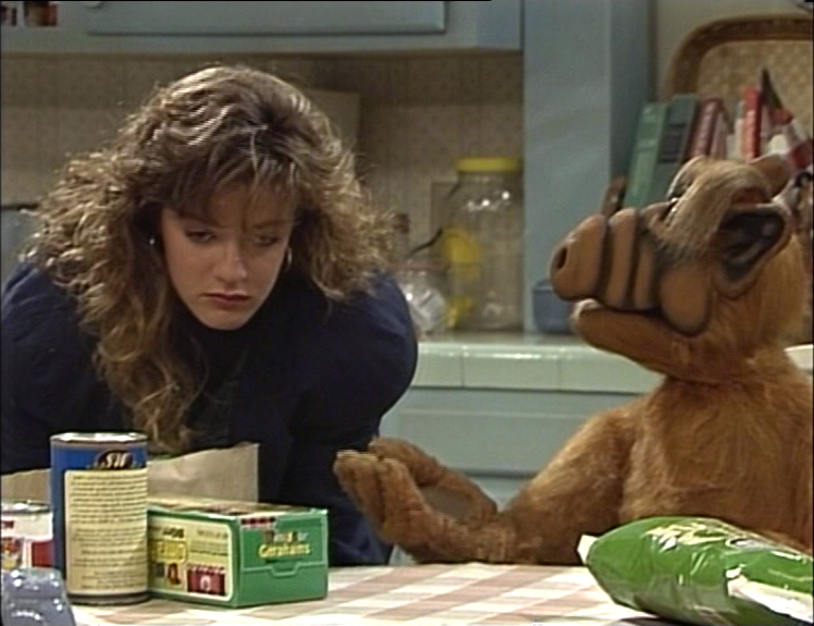 ALF Reviews: The 10 Best and 10 Worst Episodes